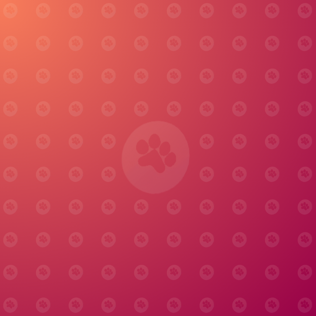 La bêta d'Animalert est là : rejoignez l'aventure ! 🎉